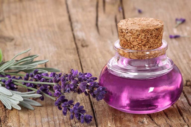 Discover How Lavender Oil Can Ease Your Anxiety