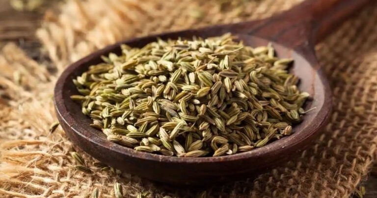 Fennel Seeds: The Natural Solution to Bloating